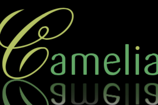 Leefstijl Camelia